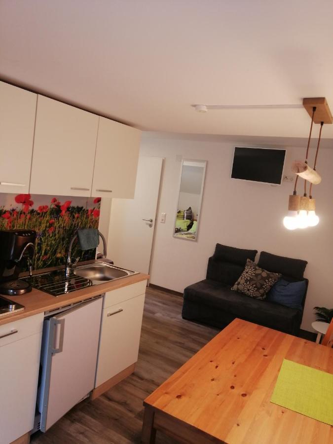 Kleine Wohnung Wutoschingen Екстер'єр фото